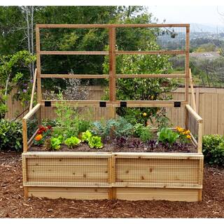 Outdoor Living Today 6 ft. x 3 ft. Garden in a Box with Trellis Lid RB63TO