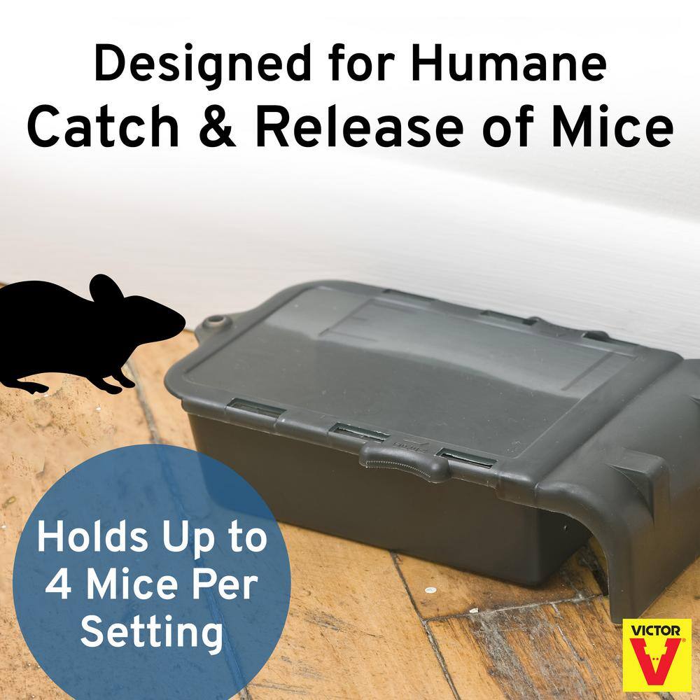 Victor Catch and Hold No-Touch Humane Outdoor and Indoor Mouse Trap M333