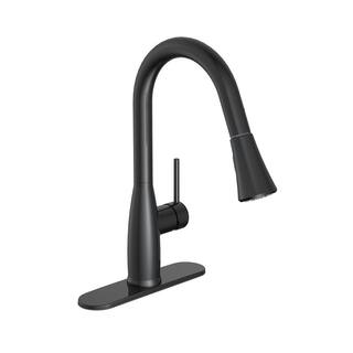 PRIVATE BRAND UNBRANDED Cartway Single-Handle Pull-Down Sprayer Kitchen Faucet in Matte Black D001O