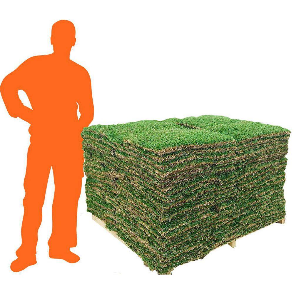 Harmony 500 sq. ft. St. Augustine Sod (1-Pallet) HH500SA1