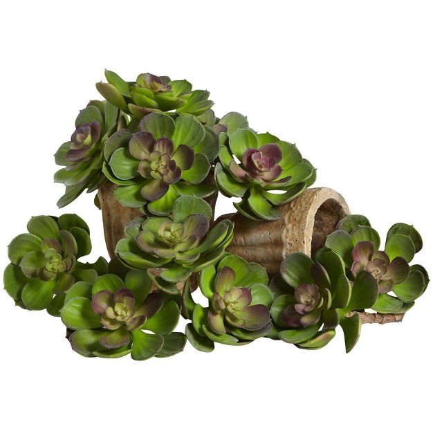 Nearly Natural 6-in Artificial Echeveria Succulent (set Of 12)