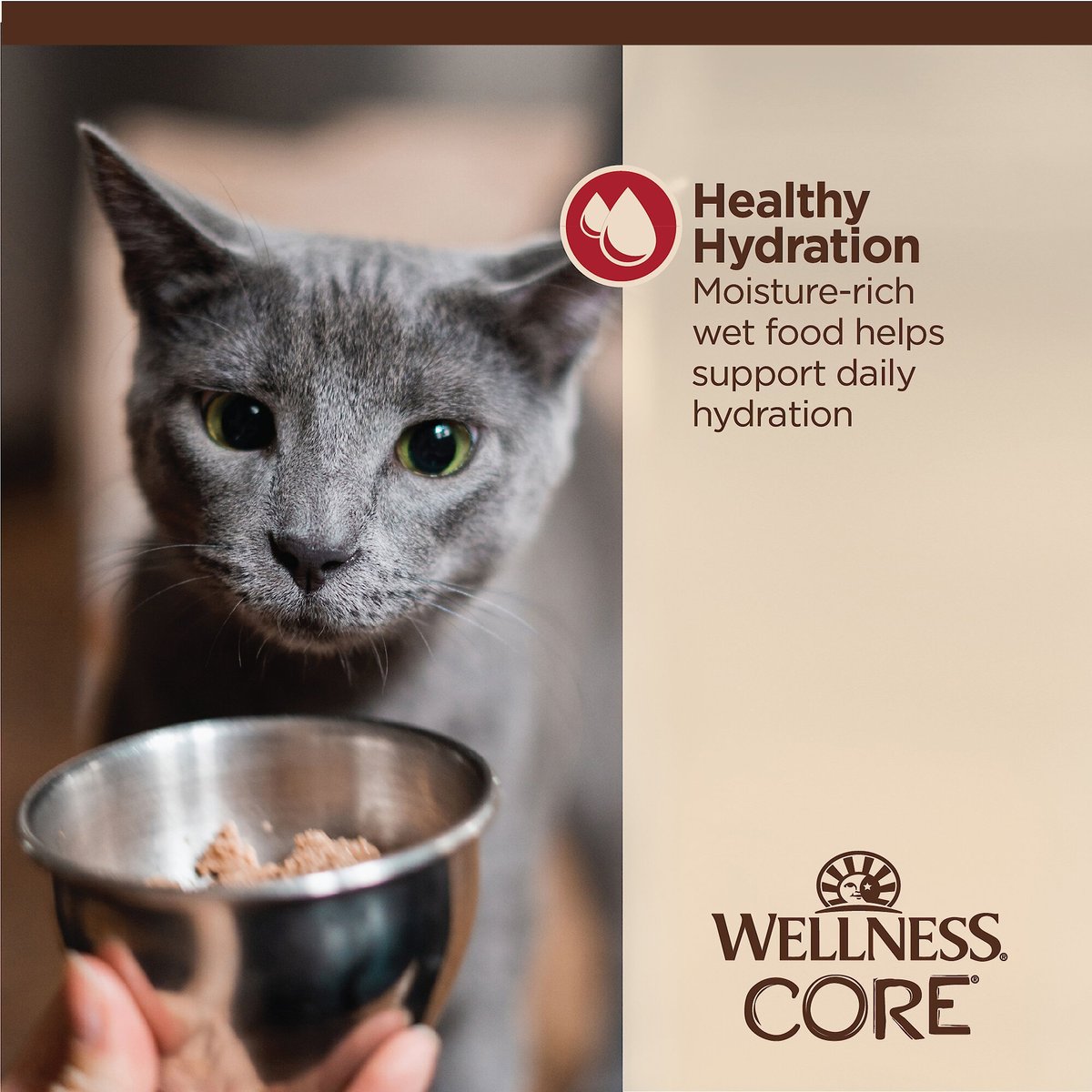 Wellness Tiny Tasters Chicken and Beef Grain-Free Minced Wet Cat Food， 1.75-oz pouch， case of 12