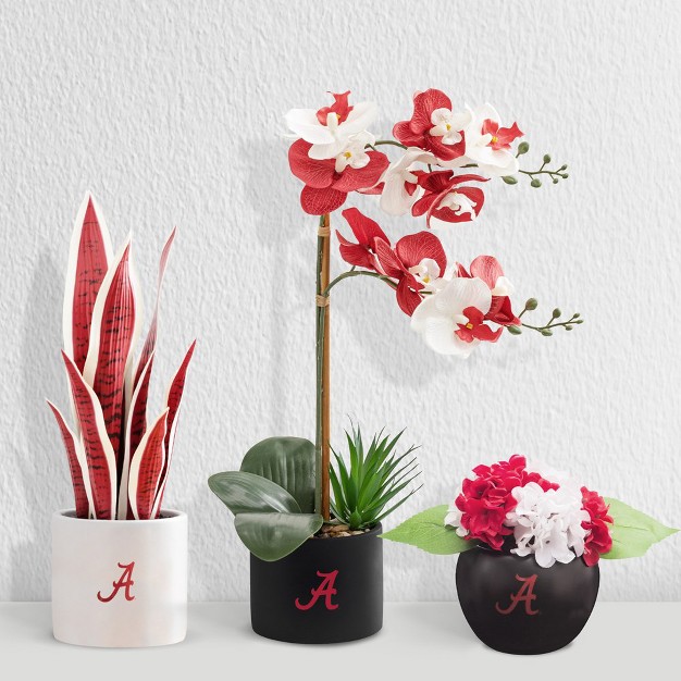 Quicskcart Alabama Artificial Snake， Orchid And Hydrangea Plants 3-pack Bundle， Indoor Artificial Plant For Home Decor