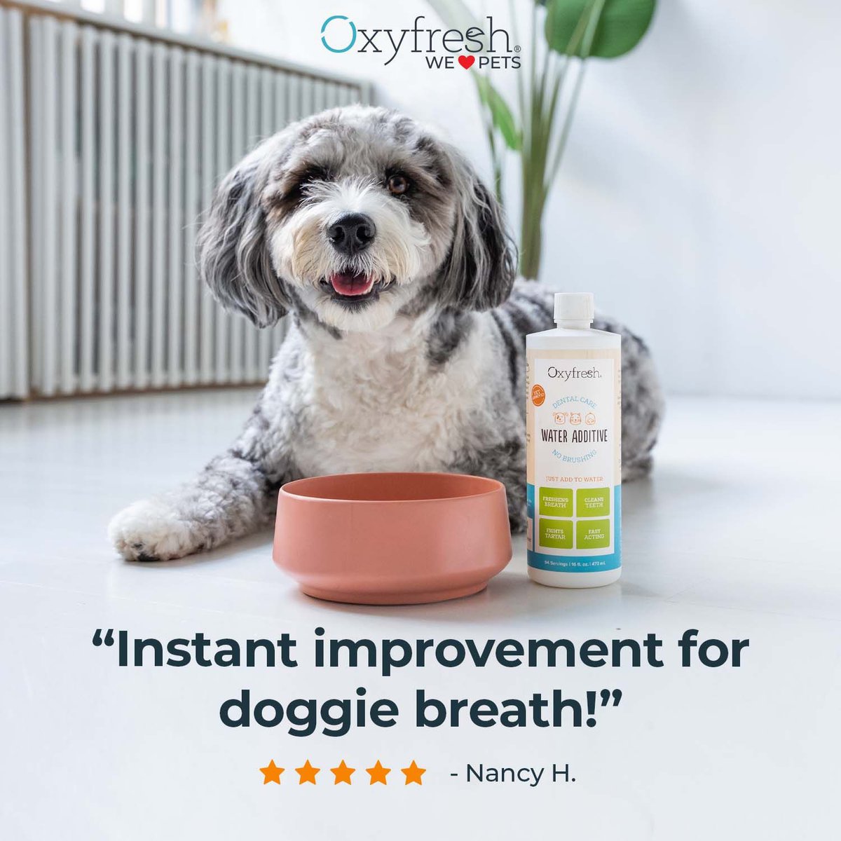 Oxyfresh Premium Pet Care Solution Cat and Dog Dental Water Additive