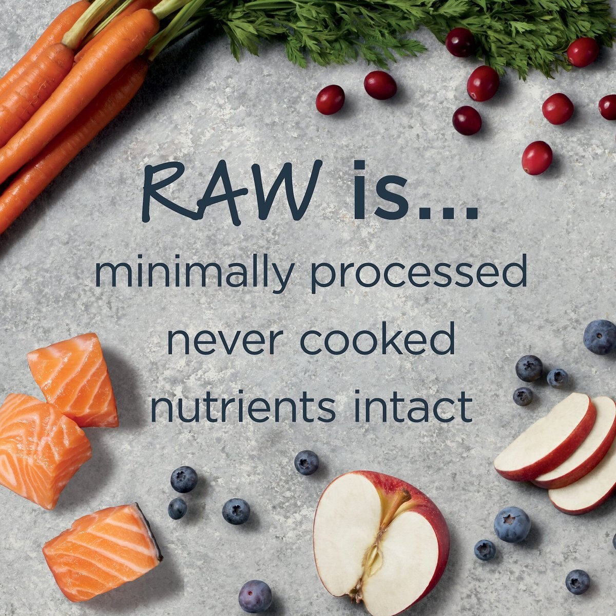 Instinct Raw Boost Whole Grain Real Salmon and Brown Rice Recipe Freeze-Dried Raw Coated Dry Dog Food