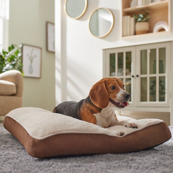 Frisco Pillow Cat and Dog Bed