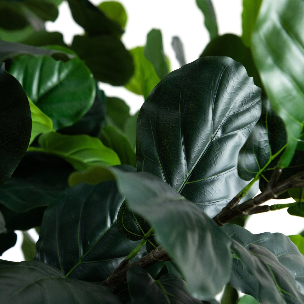 13' Faux Fiddle Leaf Fig Tree | Lifelike Indoor Tree