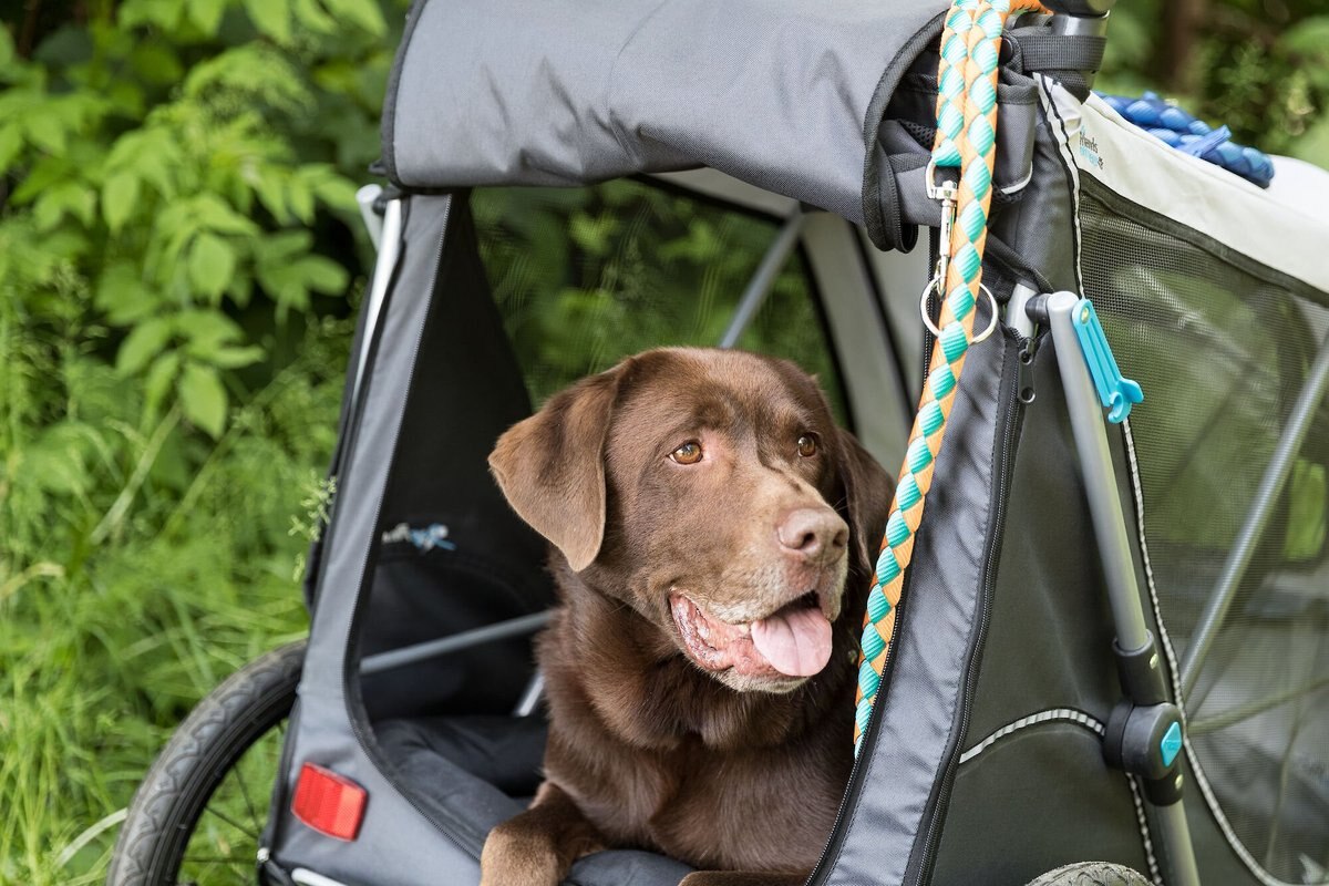 TRIXIE Premium Quick Fold Dog Bike Trailer