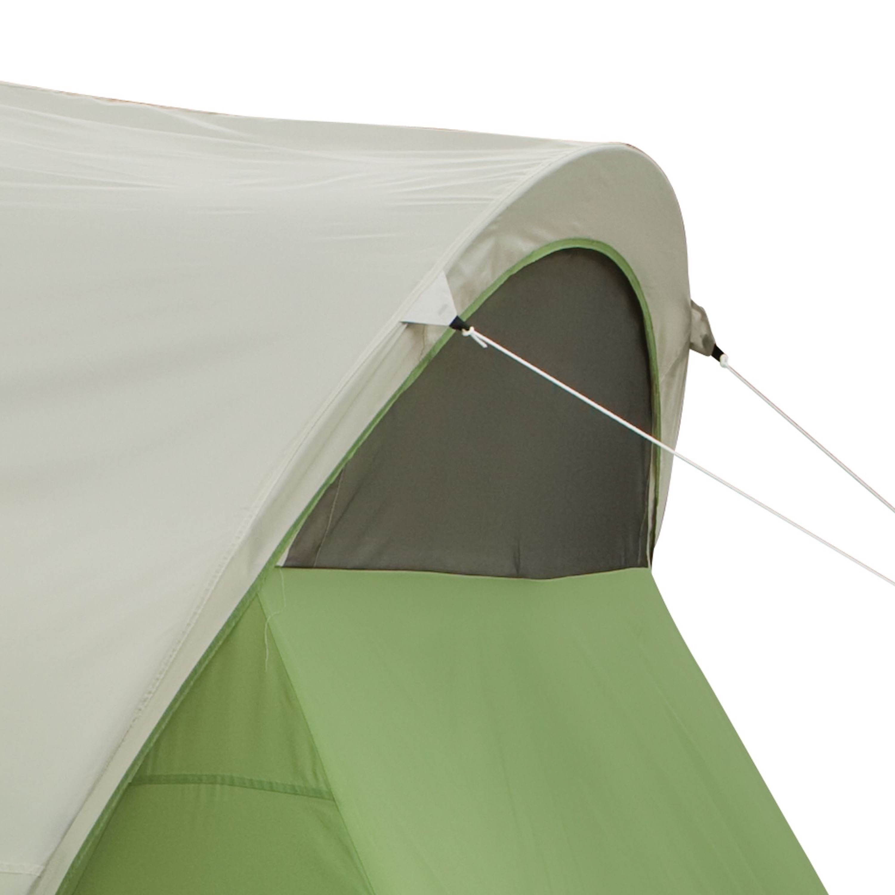 Coleman Montana 8-Person Dome Tent， 1 Room， Green