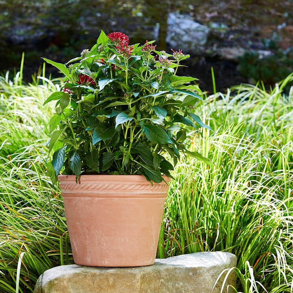 Southern Patio Michelle Medium 11.8 in. x 8.94 in. 10 qt. Terracotta Clay Outdoor Planter CLY-081647