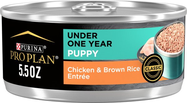 Purina Pro Plan Development Puppy Chicken and Brown Rice Entree Canned Dog Food