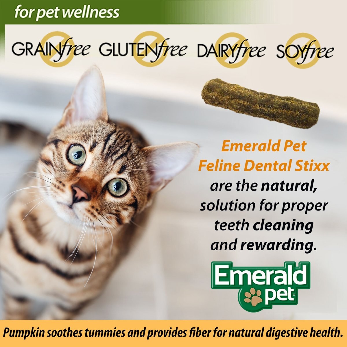 Emerald Pet Feline Dental Stixx Catnip Flavor With Pumpkin Grain-Free Dental Cat Treats， 3.6-oz bag