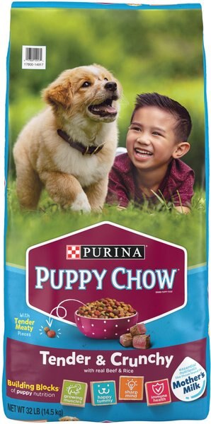 Puppy Chow Tender and Crunchy with Real Beef Dry Dog Food