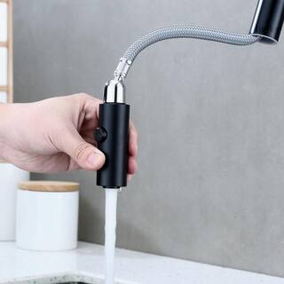 LUXIER Single-Handle Pull-Down Sprayer Kitchen Faucet with 2-Function Sprayhead in Matte Black KTS21-TM