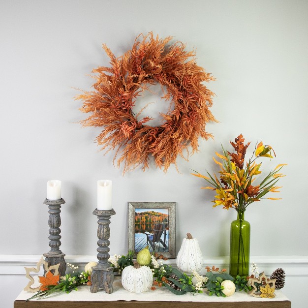 Northlight Peachy Pampas Grass Artificial Fall Harvest Wreath， 24-inch - Unlit