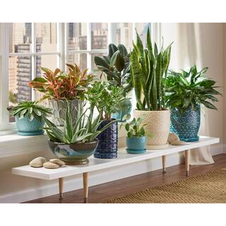 Trendspot 10 in. Dia Blue Rivage Ceramic Planter CR10853-10A