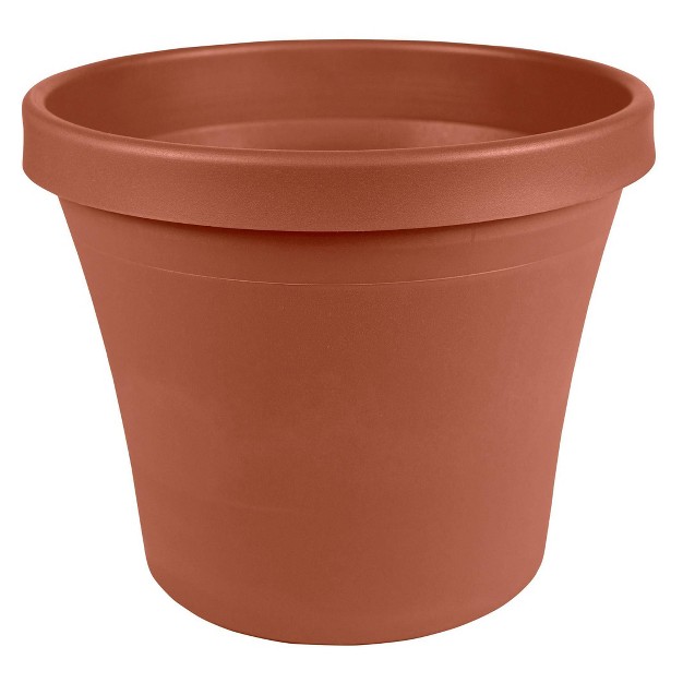 Bloem Terra Pot Planter