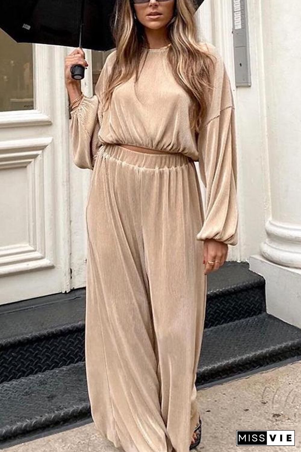 Pleated Crop Blouse Wide Leg Pants Set