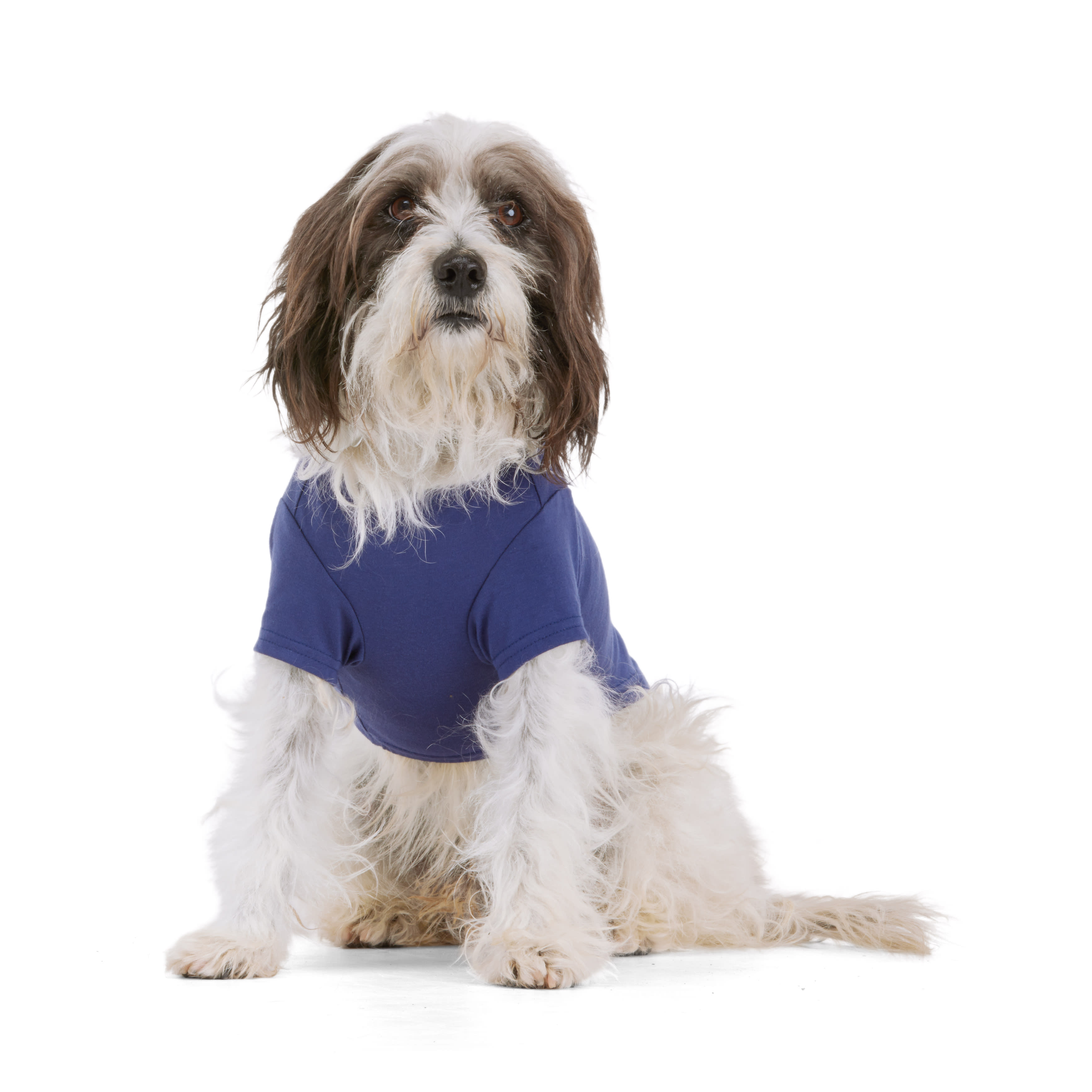 YOULY Navy Flag Tee for Dogs， X-Small