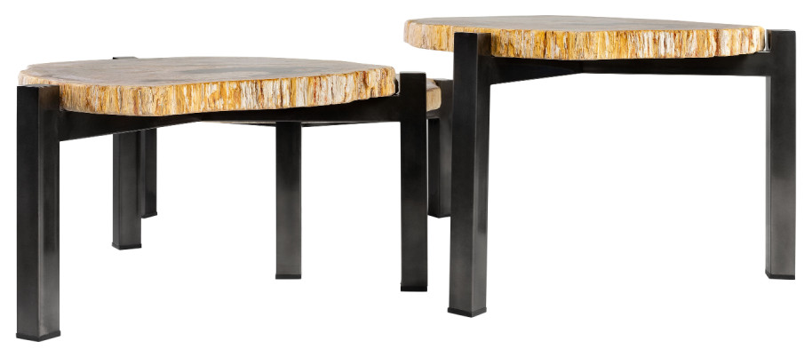 Petrified Wood Nested Coffee Tables  3  Versmissen   Contemporary   Coffee Table Sets   by Oroa   Distinctive Furniture  Houzz