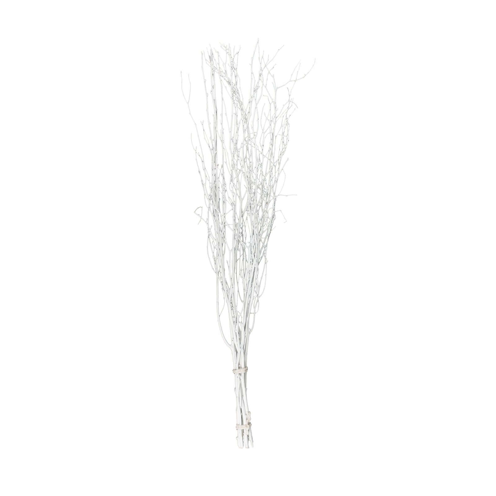 6 Pack White Decorative Birch Tree Branches, Extra Long Natural Dried Willow Twigs Sticks Vase Fillers - 46