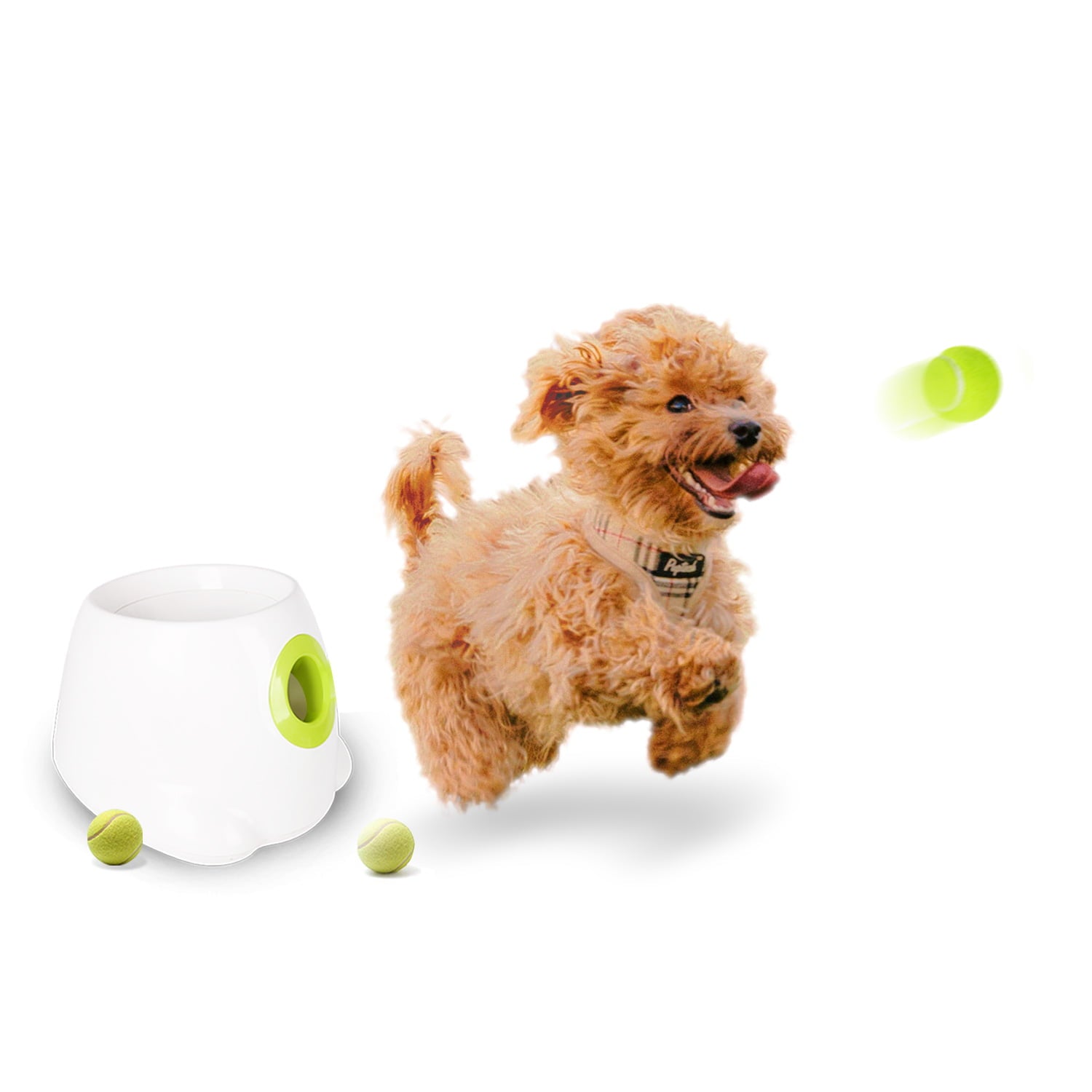 All For Paws Hyper Fetch Automatic Tennis Ball Launcher for Puppies and Small Dogs， 3 Balls Included