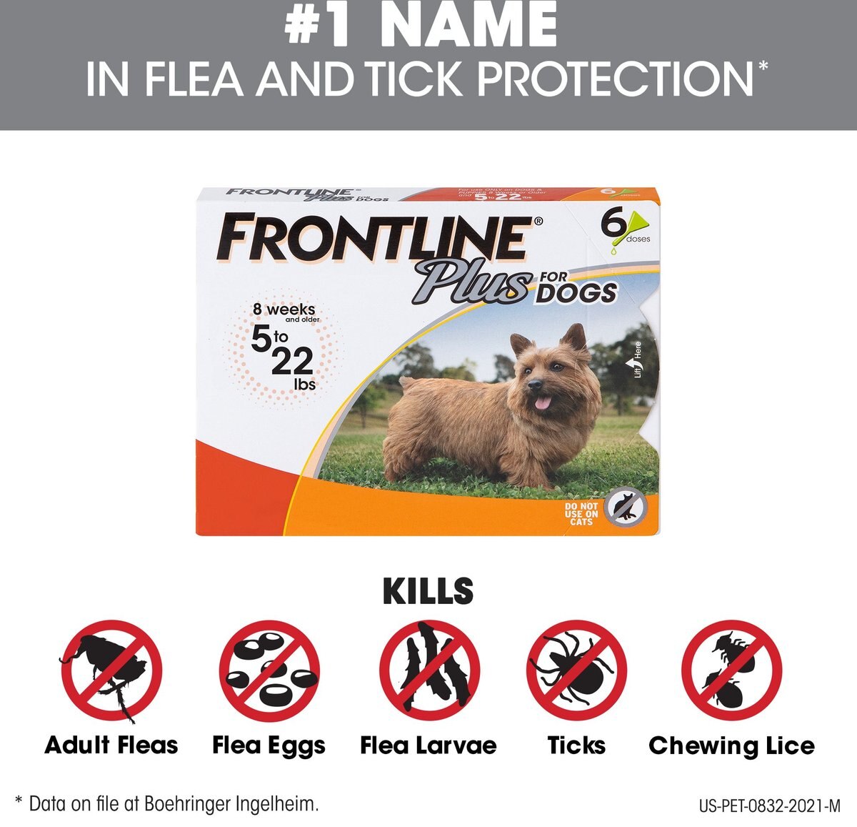 Frontline Plus Flea and Tick Spot Treatment for Small Dogs， 5-22 lbs