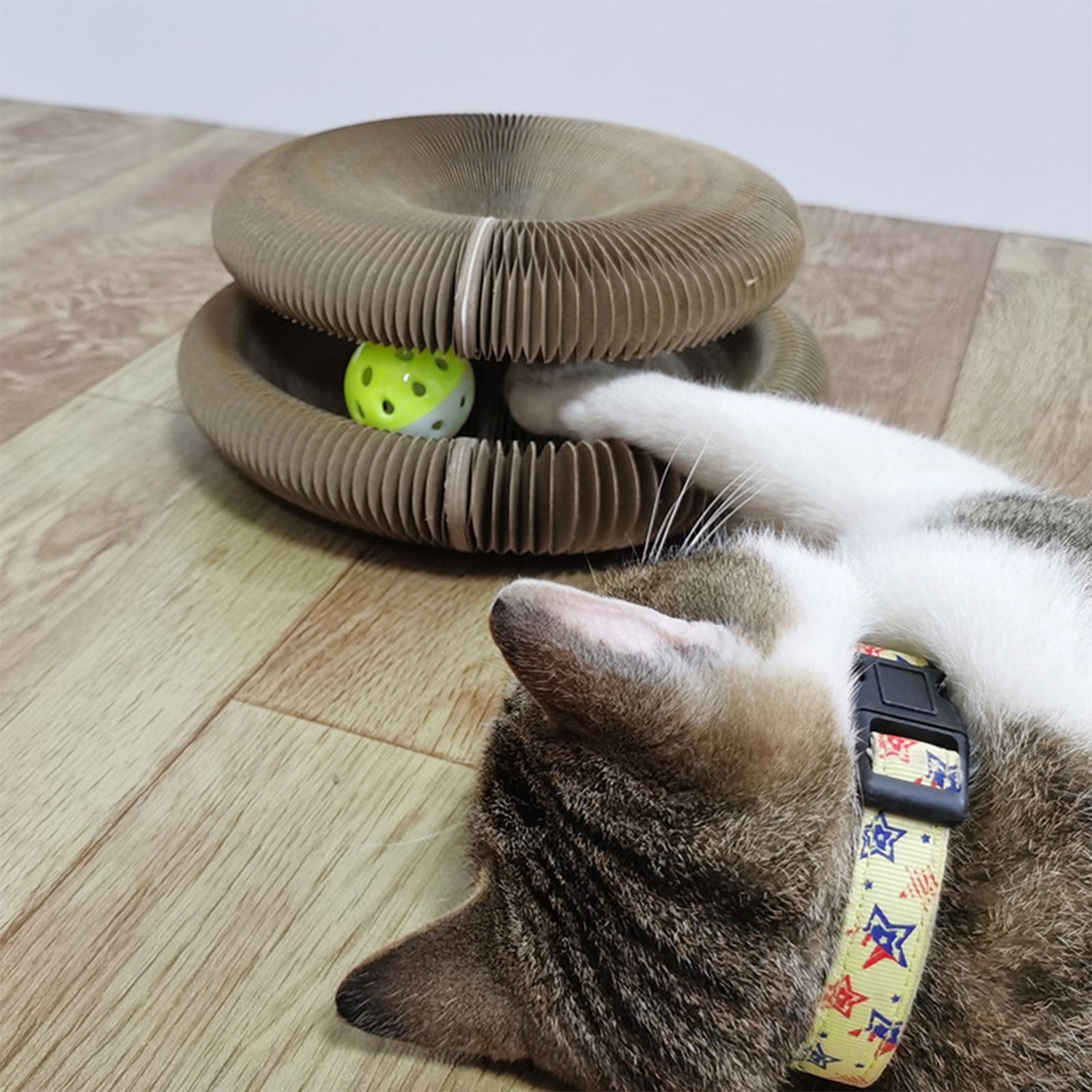 Cat Scratcher with Ball Organ Cat Scratching Board Magic Circle Cat Toy