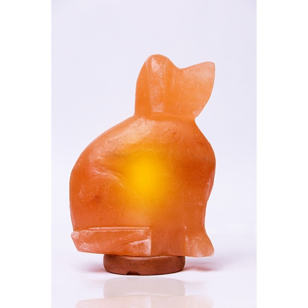 Dog Salt Lamp Pink Q amp a Himalayan Salt