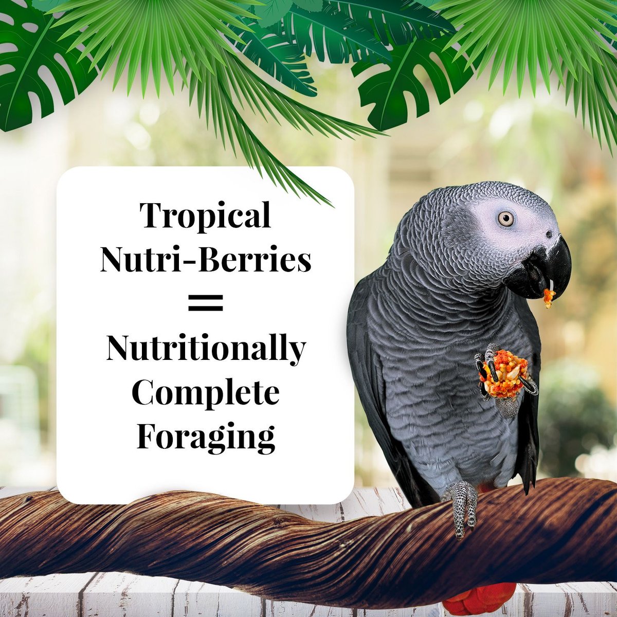 Lafeber Tropical Fruit Nutri-Berries Parrot Food