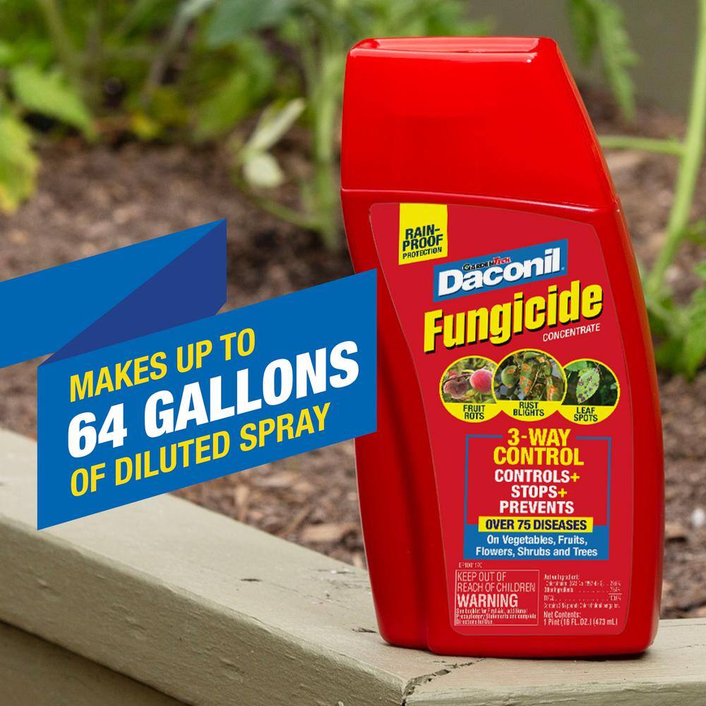 Daconil 16 oz. Concentrate Fungicide 100536524