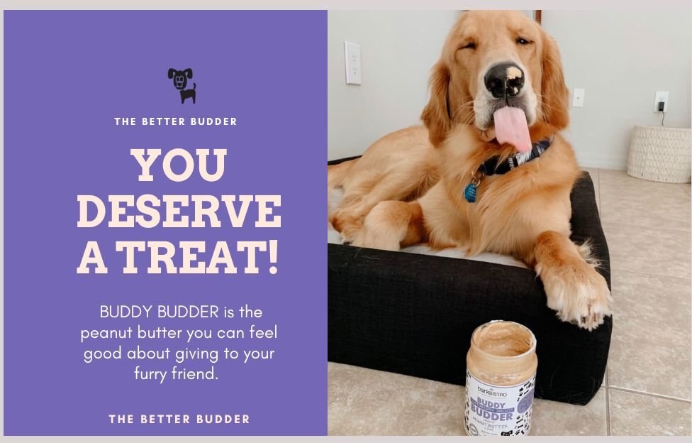 Bark Bistro Company Buddy Budder Superberry Snoot Peanut Butter Lickable Dog Treat， 17-oz jar