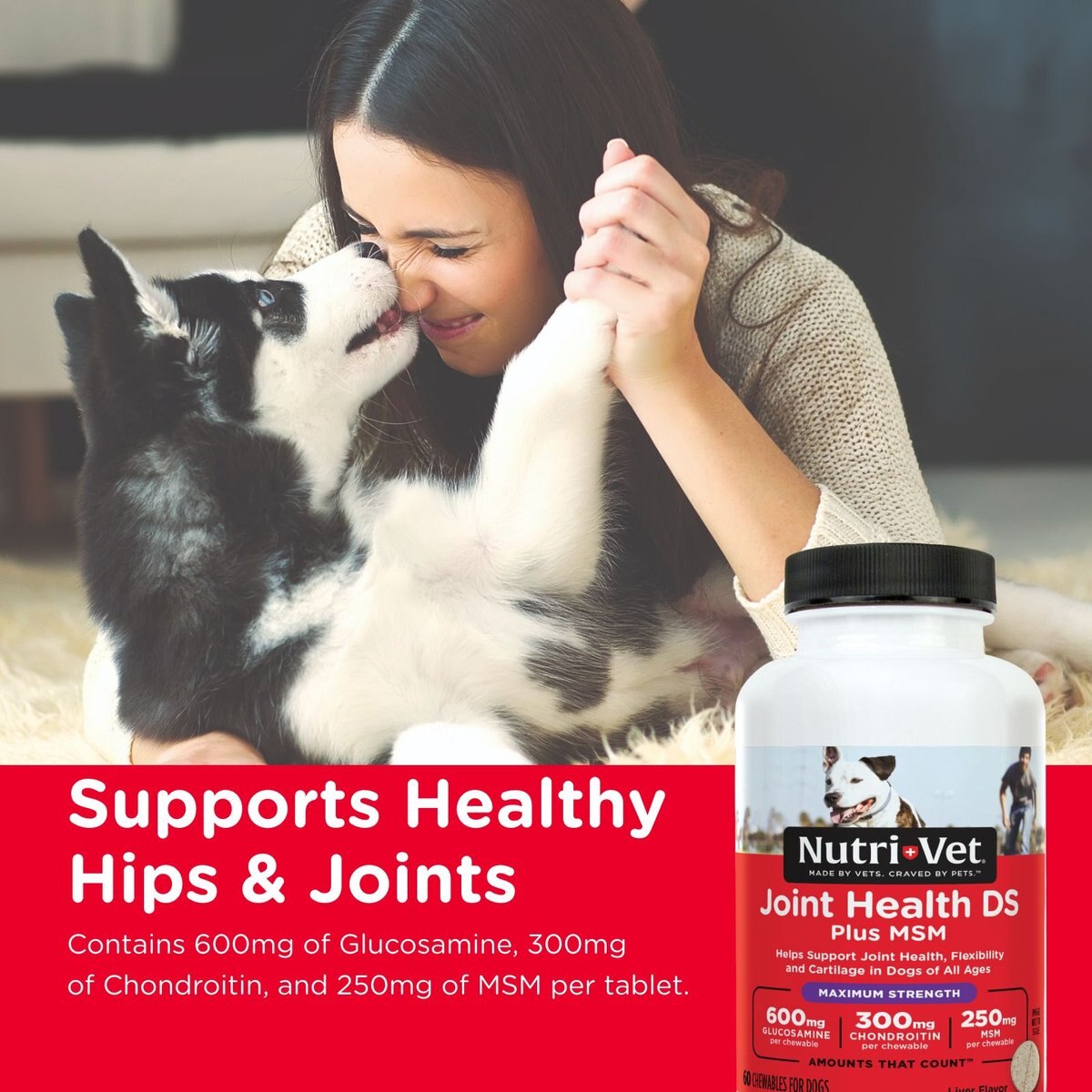 Nutri-Vet Joint Health DS Plus MSM Maximum Strength Chewable Tablets Joint Supplement for Dogs