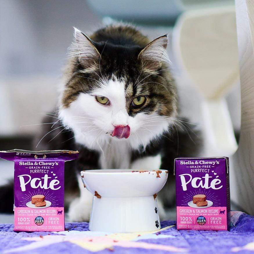 Stella and Chewy's Purrfect Pate Chicken and Salmon Medley Recipe Wet Cat