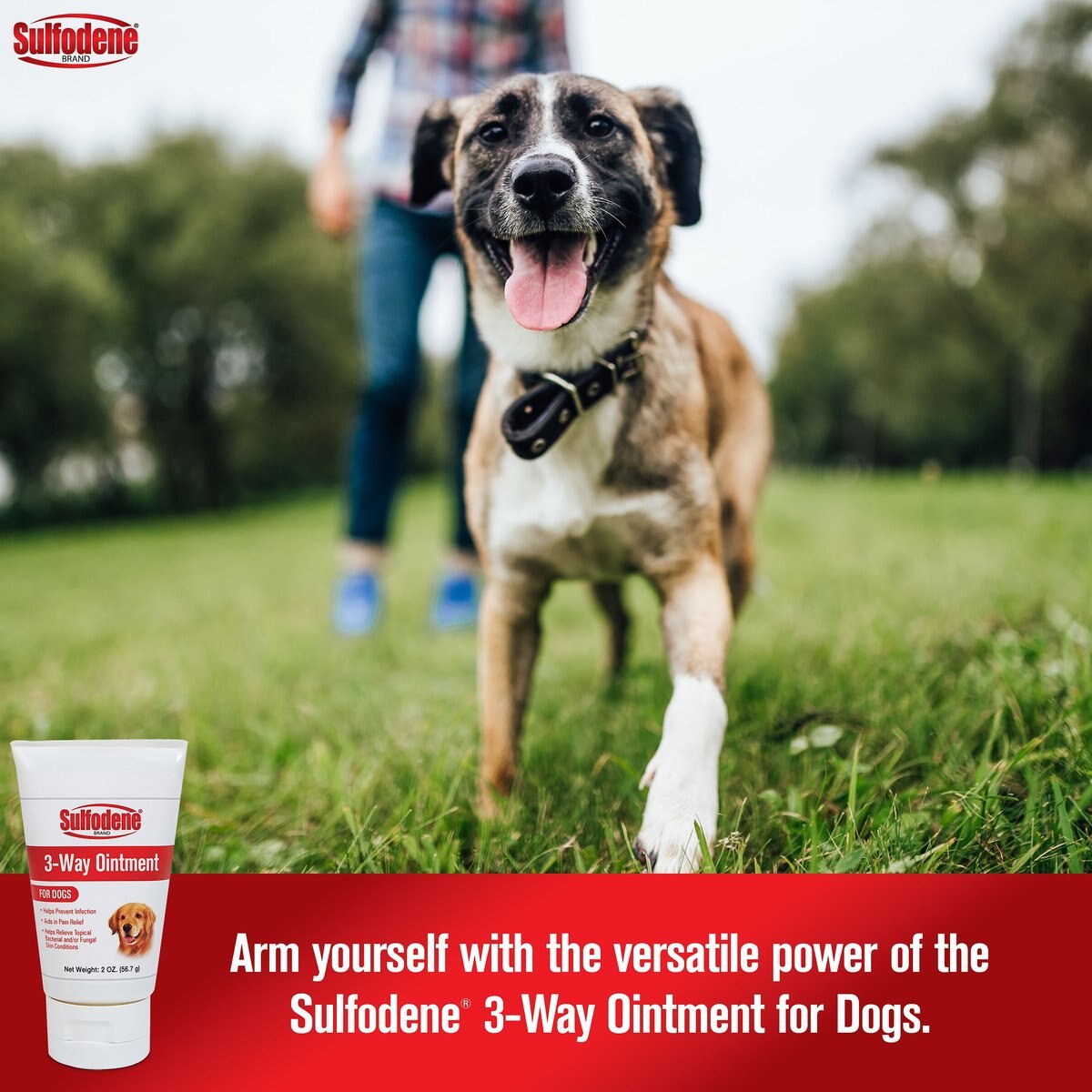 Sulfodene 3-Way Ointment for Dogs