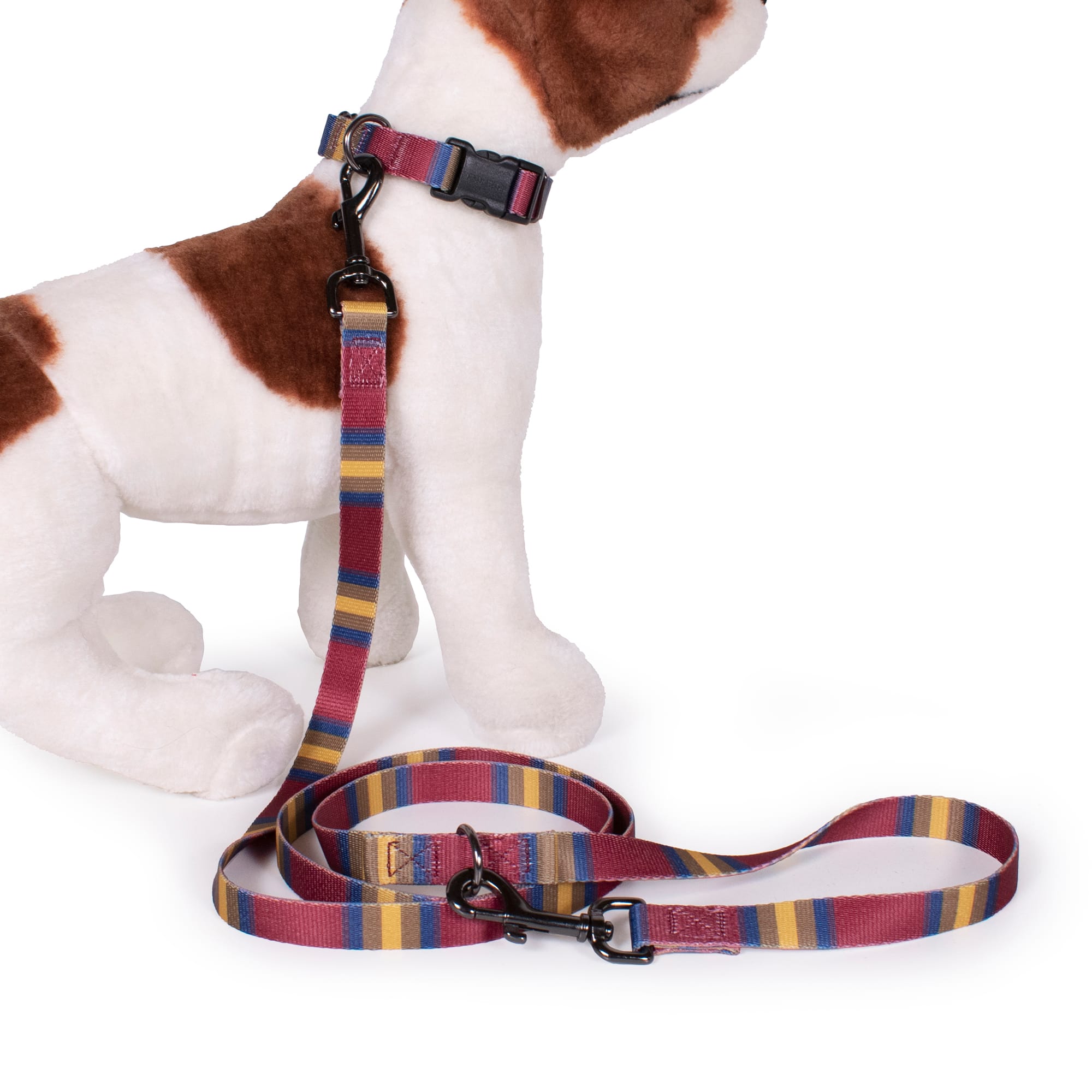 Pendleton Zion National Park Adventure Dog Leash 3/4