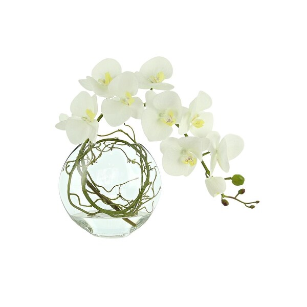 Orchid Floral in Glass Vase