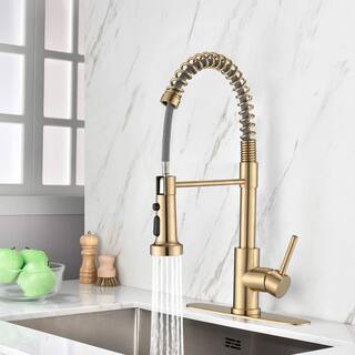 PROOX Single-Handle Deck Mount Spring Pull-Down Sprayer Kitchen Faucet with Deckplate in Brushed Gold PR21AARX289BG