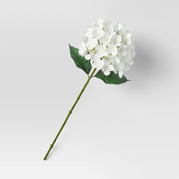 Hydrangea Stem White - Threshold