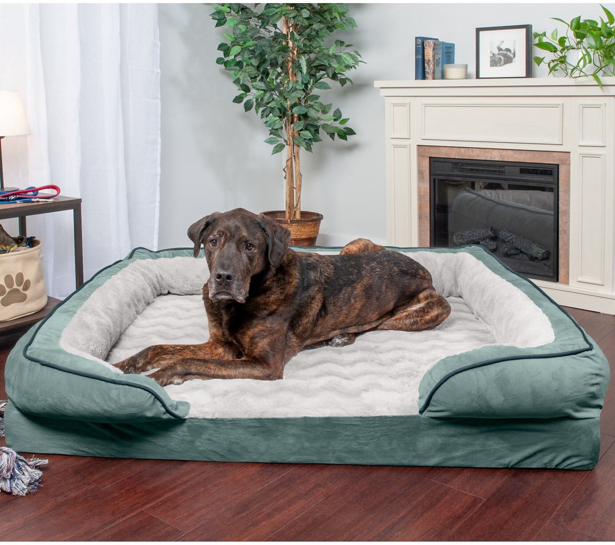 FurHaven Velvet Waves Perfect Comfort Orthopedic Sofa Cat and Dog Bed， Celadon Green， Jumbo Plus