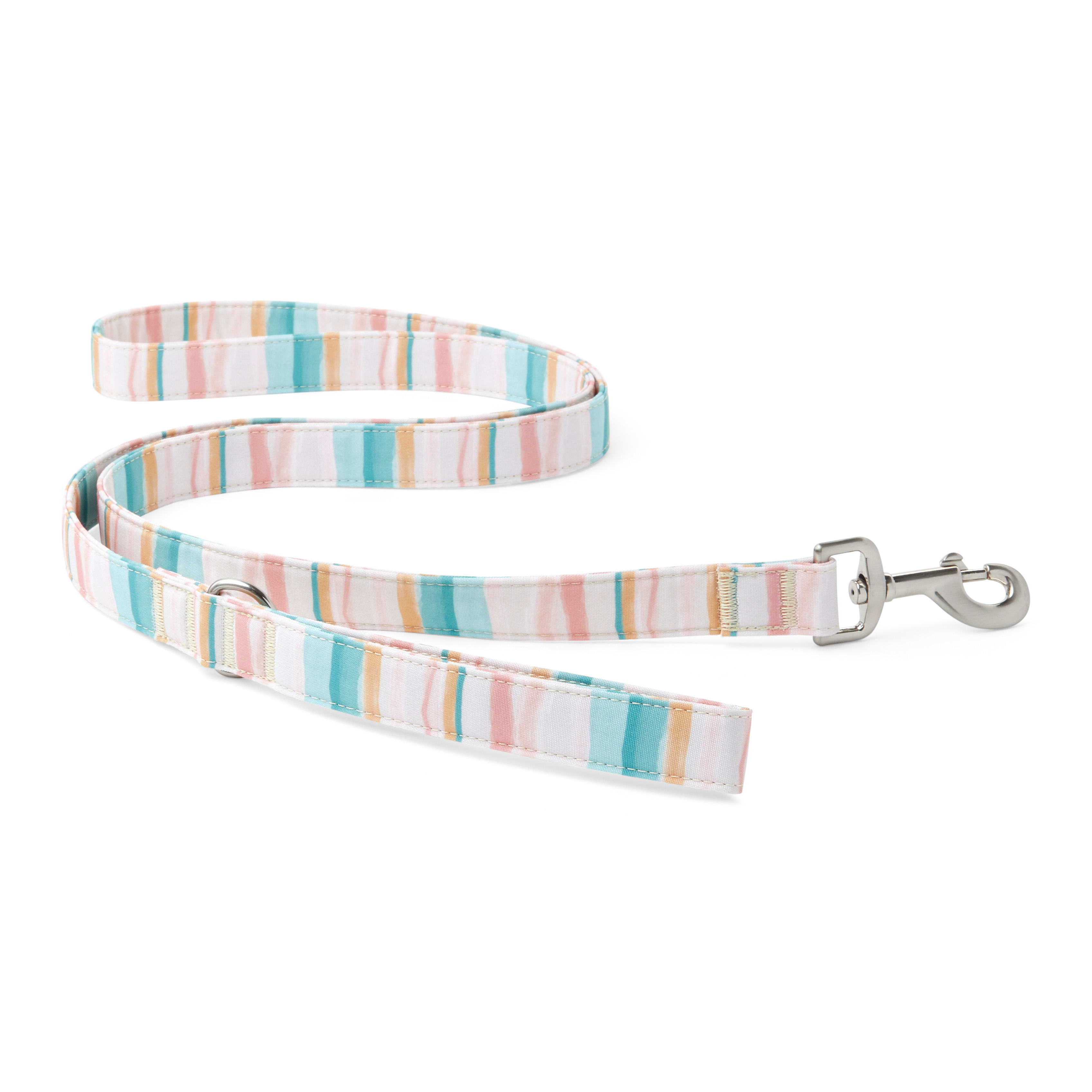 YOULY The Adventurer Multicolor Watercolor Striped Dog Leash， 6 ft.