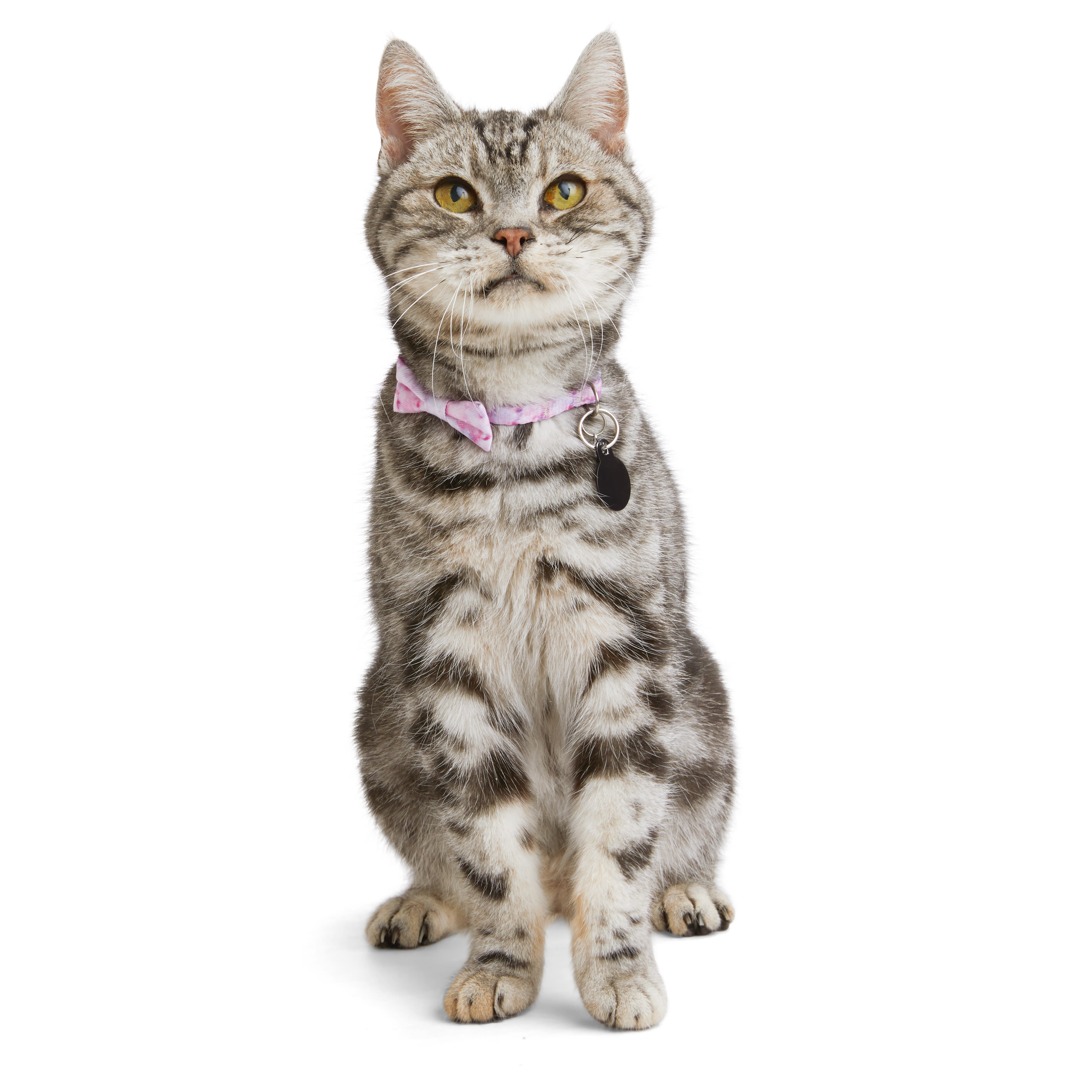 YOULY Galaxy Pink Kitten Collar