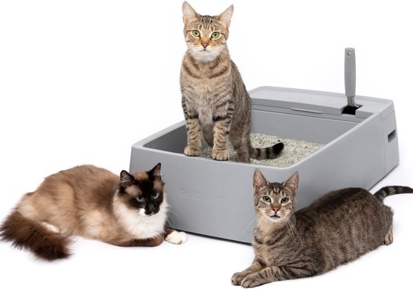 PetSafe Multi-Cat Litter Box