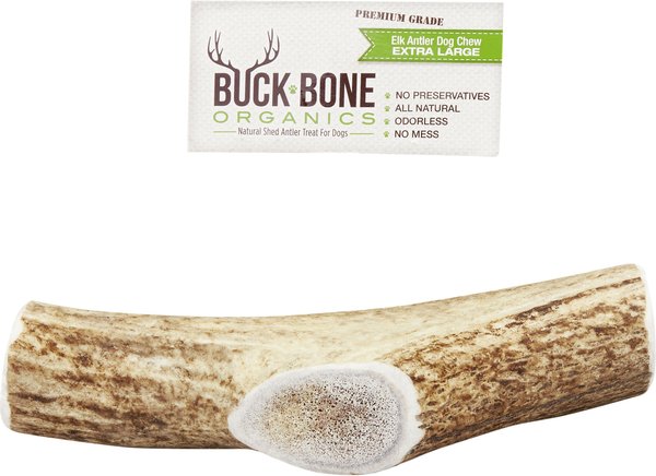 Buck Bone Organics Whole Elk Antler Dog Chews， 8-10 in