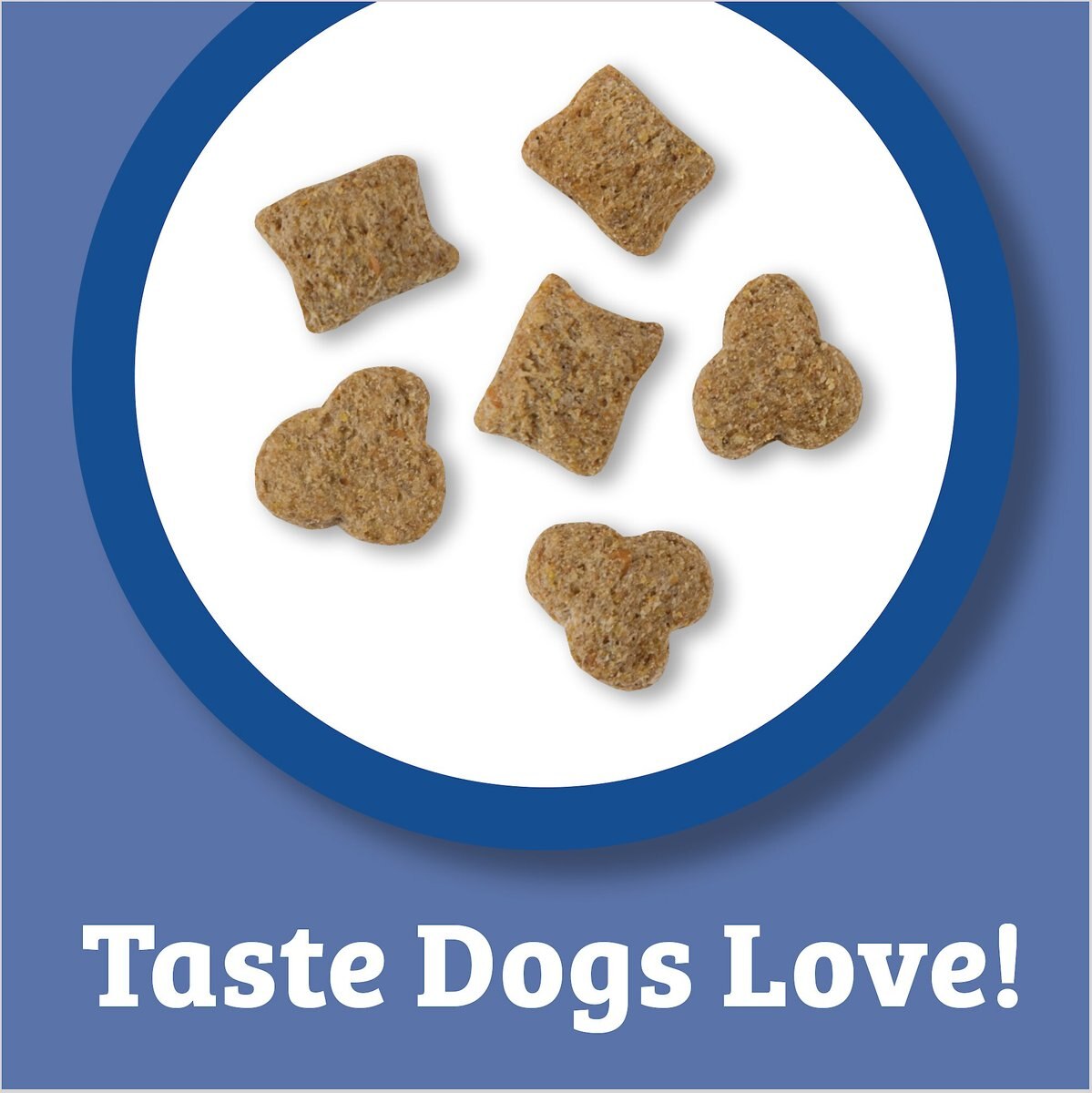 Maintain Chunks Meaty Flavor Dry Dog Food