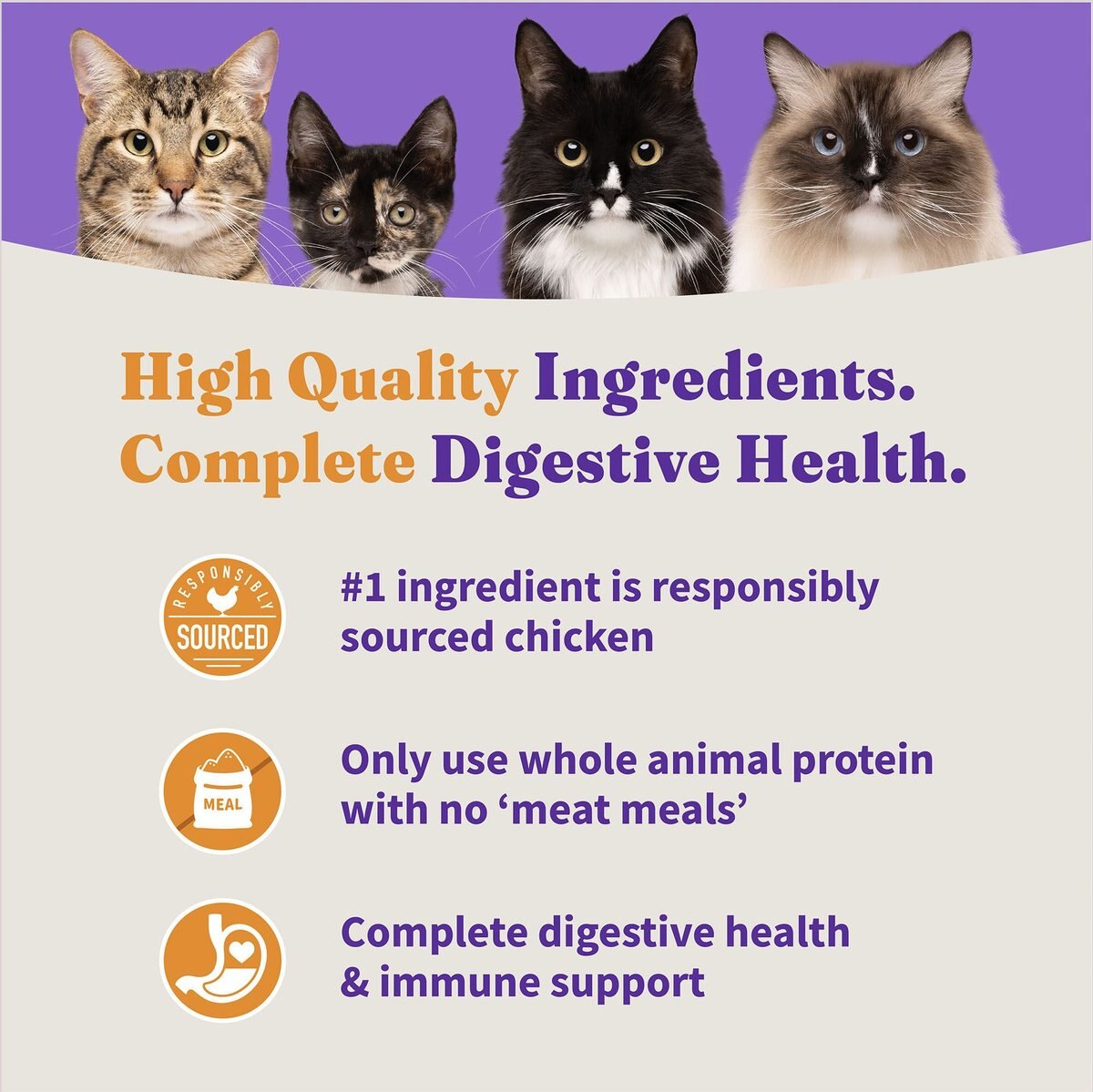 Halo Holistic Kitten Food Grain-Free Cage-Free Chicken Recipe Complete Digestive Health Dry Cat Food