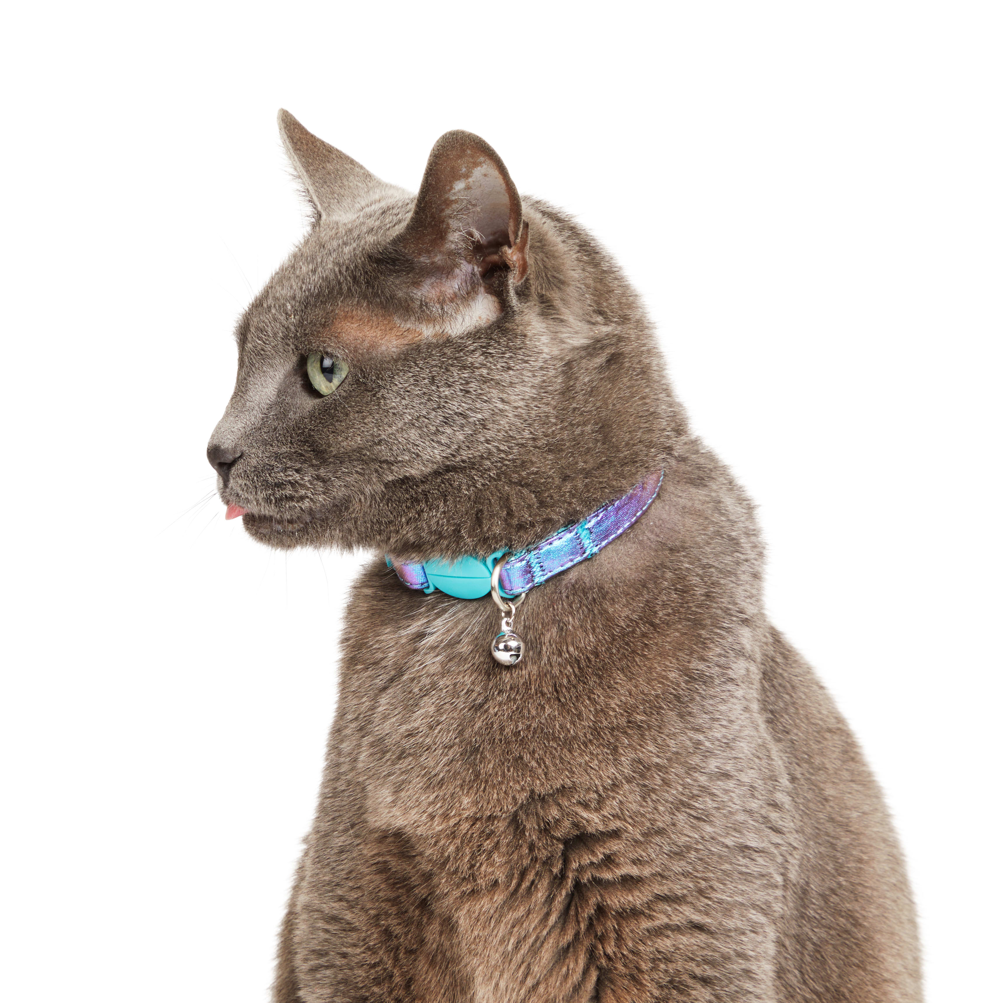 YOULY Iridescent Cat Collar