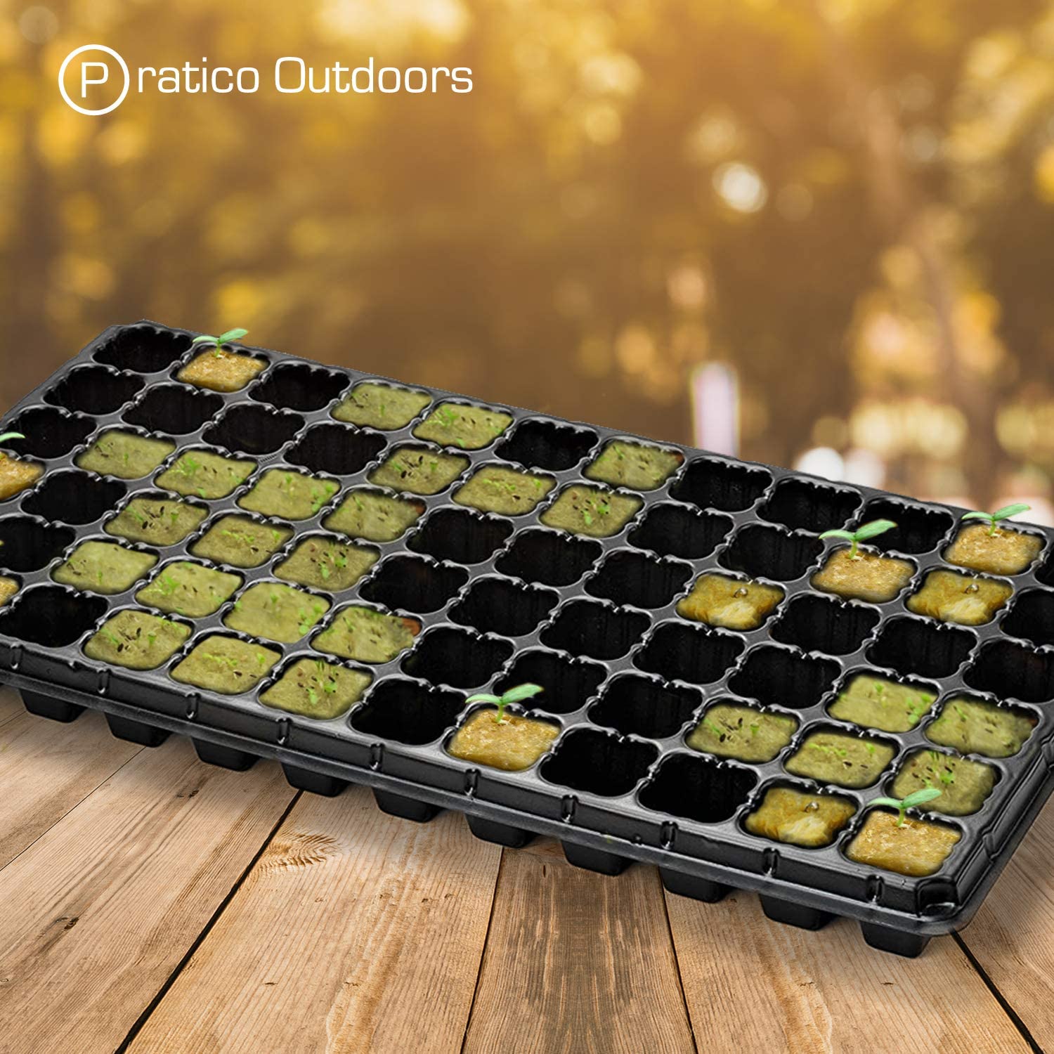 Pratico Outdoors 1 inch Rockwool Grow Cubes Seed Starter Plugs， 100 Cubes