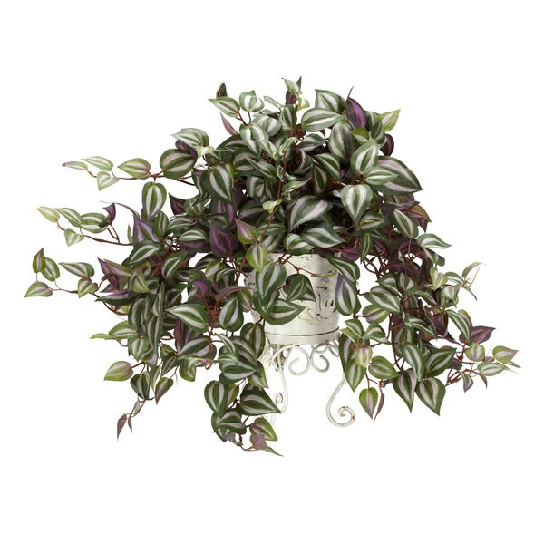 Wandering Jew Silk Plant with Metal Planter