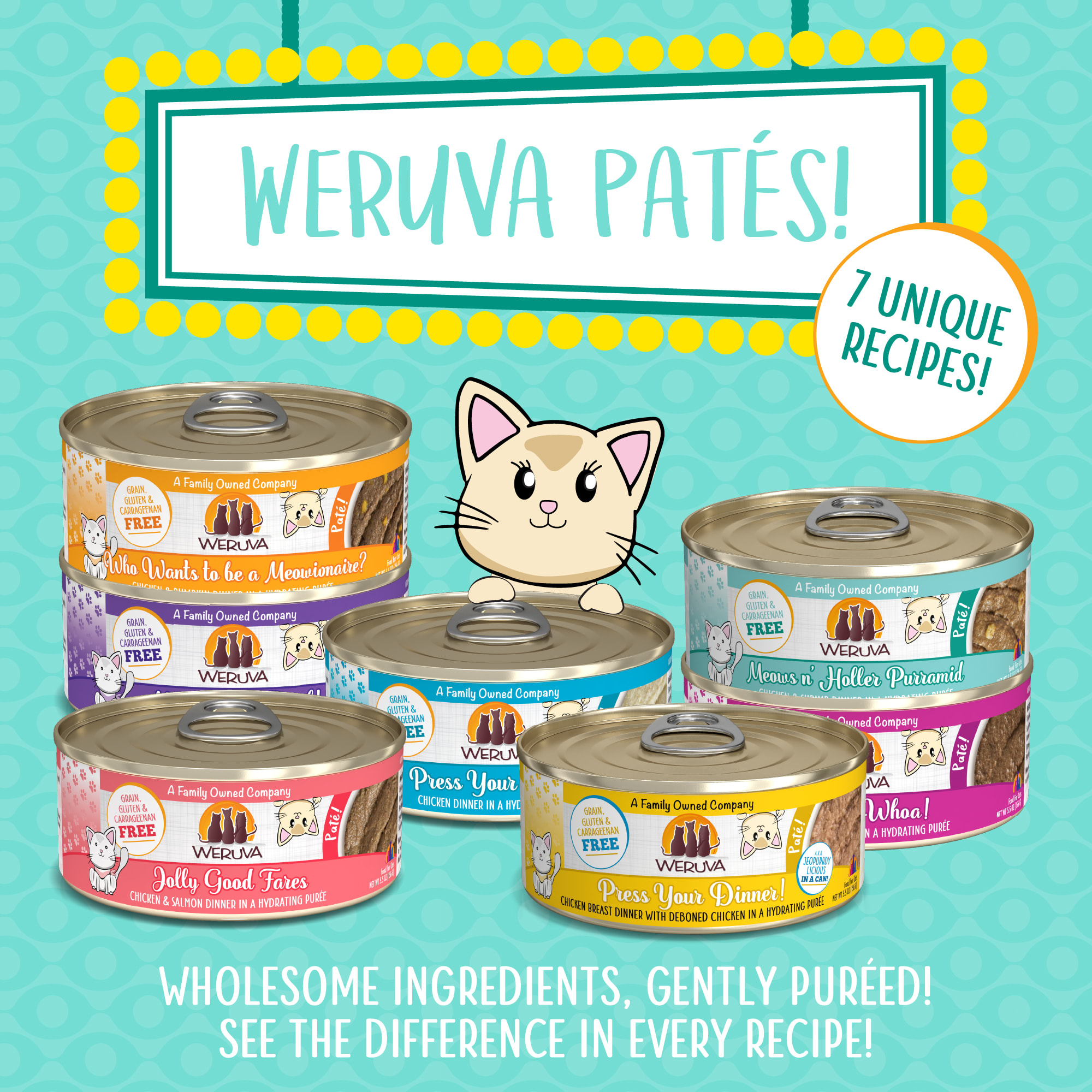 Weruva Pate Meows n' Holler Purramid Chicken  Shrimp Dinner in a Hydrating Puree Wet Cat Food， 3 oz.， Case of 12